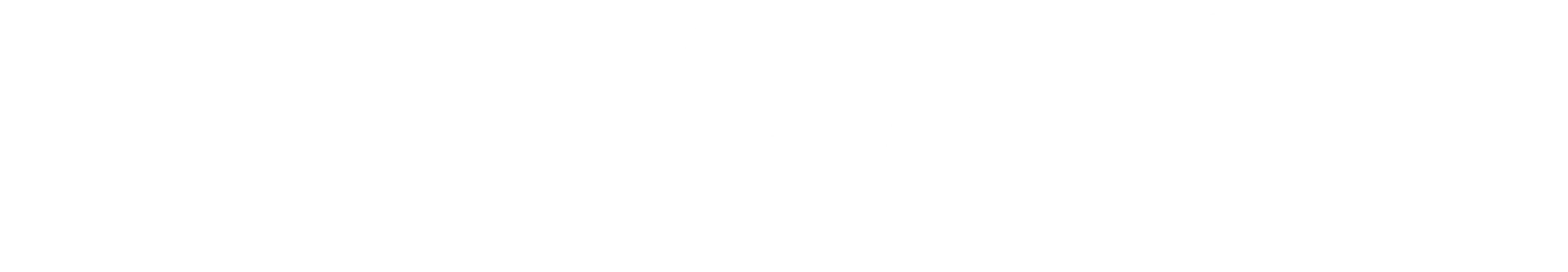 iron 24 white logo